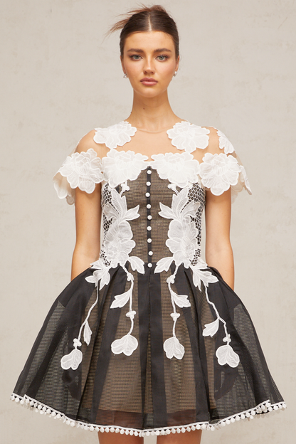 Sandrine color-blocked floral-embroidered mini dress
