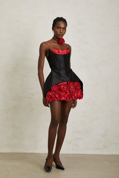 Joaquina Black Rose Appliqué Corset Mini Dress