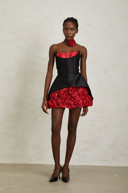 Joaquina Black Rose Appliqué Corset Mini Dress