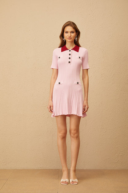 Diane Pink Ribbed Knit Mini Dress