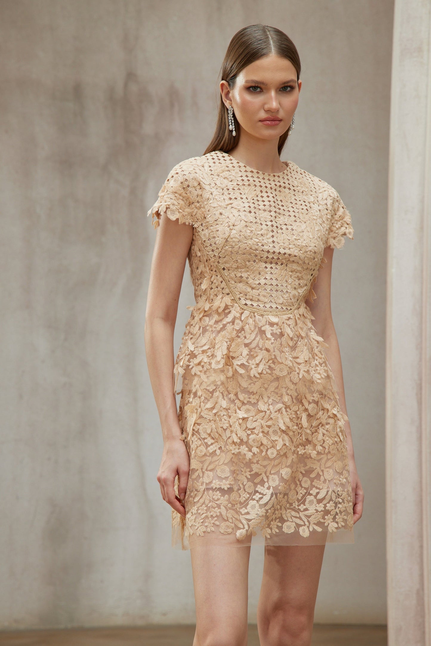 Déotille Neutral Floral Embroidered Tulle Mini Dress